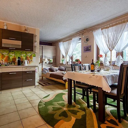 Apartamenty w Centrum - Zakopane Zewnętrze zdjęcie