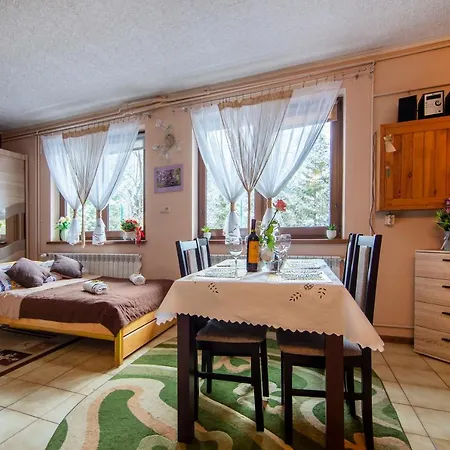 Apartamenty w Centrum - Zakopane Zewnętrze zdjęcie
