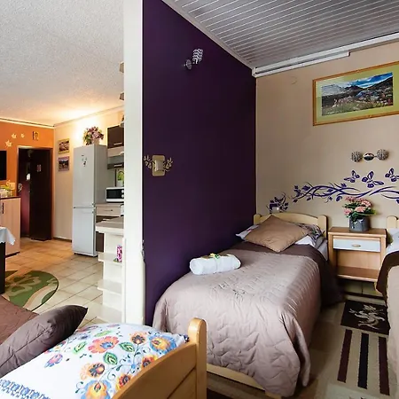Apartamenty w Centrum - Zakopane Zewnętrze zdjęcie