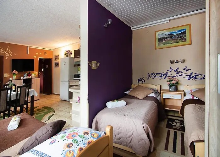 Apartamenty W Centrum - Zakopane