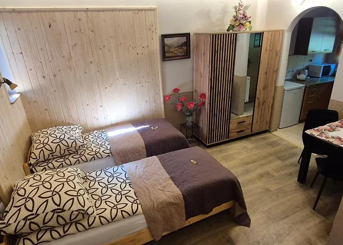 Apartamenty W Centrum - Zakopane
