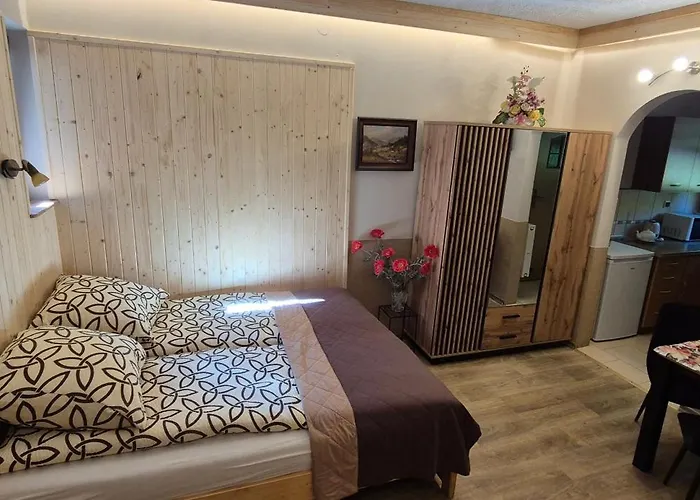 Apartamenty W Centrum - Zakopane